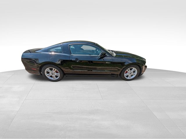 2014 Ford Mustang V6 photo