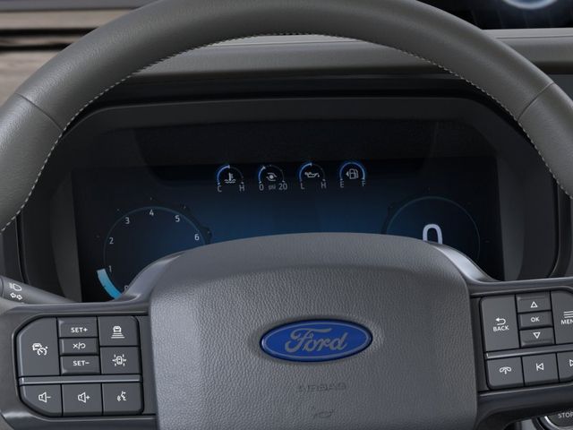 2026 Ford F-150 Platinum:169793
