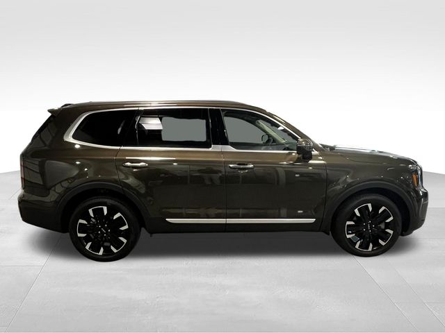 2024 Kia Telluride SX Green at Matthews Motors of Wilmington