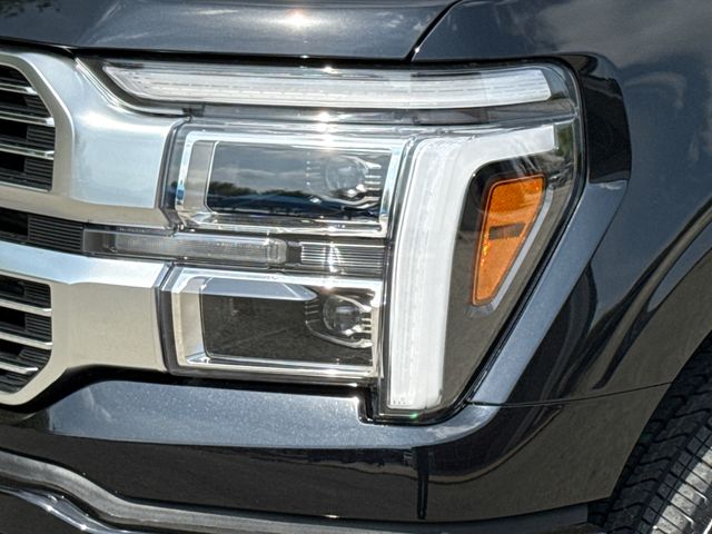 New 2026 Black Ford Platinum image 4