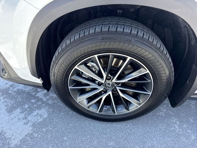 Used 2025 Lexus NX SUV