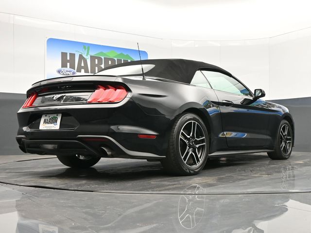 2021 Ford Mustang EcoBoost Premium photo