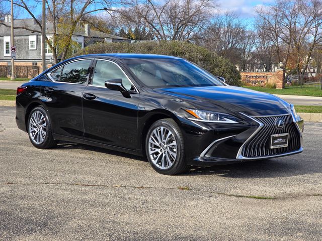 2019 Lexus ES 350 24