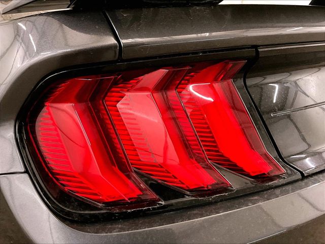 2019 Ford Mustang GT Gray at Grove City Ford