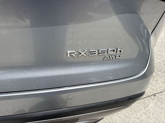 Used 2024 Lexus RX SUV