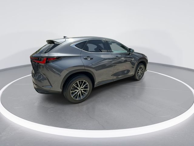 Used 2024 Lexus NX SUV