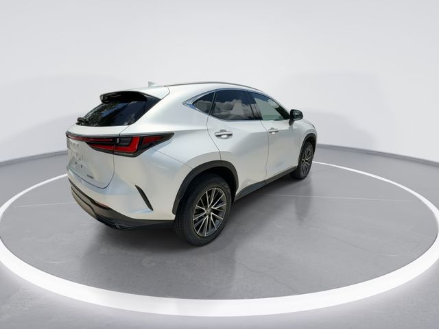 2024 Lexus NX 250 - Photo 8