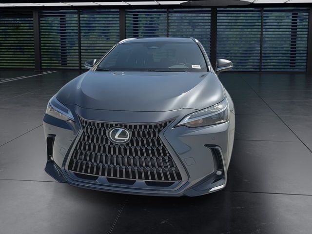2025 Lexus NX - $39,998
