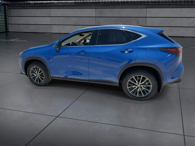 Used 2025 Lexus NX SUV