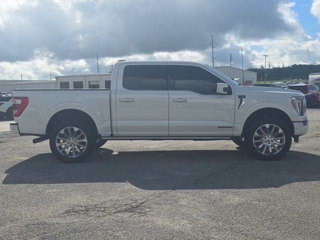 Photo of 2023 Ford F-150 Limited in Dallas, GA - 6,  2023 Ford F-150 Limited:167473A