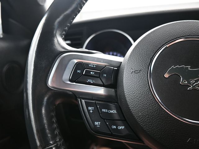 2021 Ford Mustang EcoBoost Premium photo