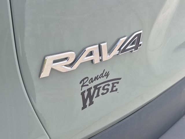 2020 Toyota RAV4 Hybrid - Image 10