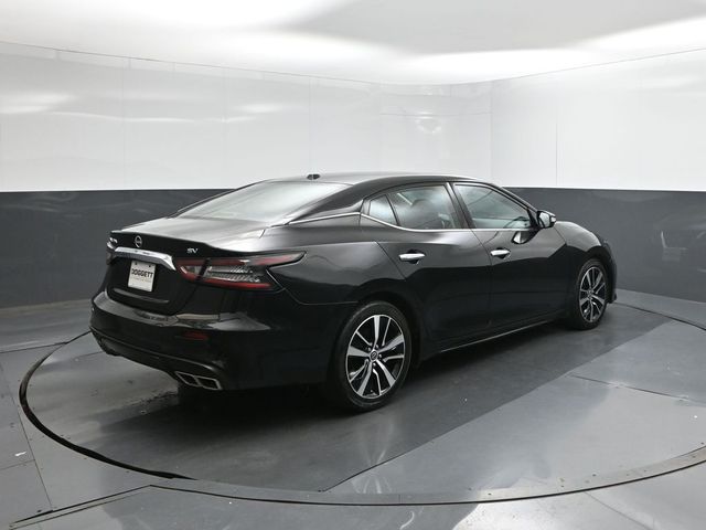 Used 2023 Nissan Maxima Sedan