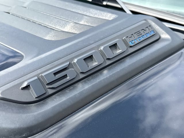 Used 2024 Black Ram Rebel image 5