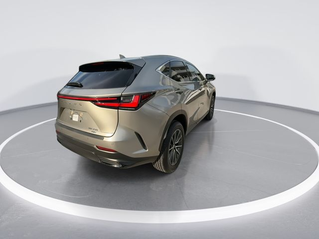 Used 2026 Lexus NX SUV
