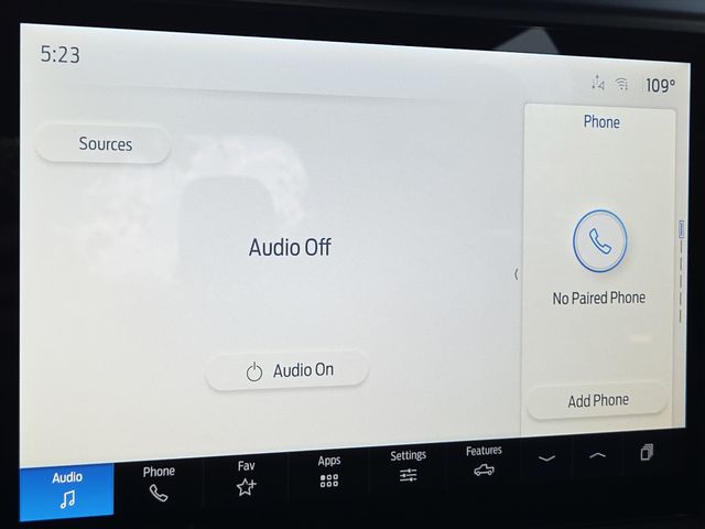 New 2025 Gray Ford STX image 19