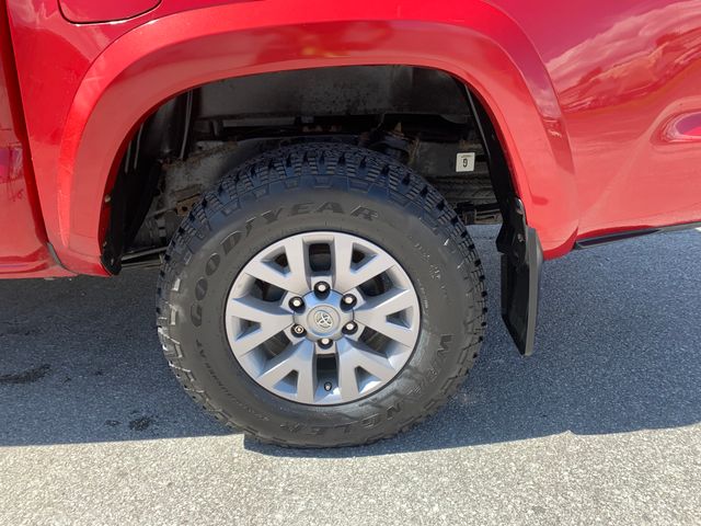 Used 2019 Toyota Tacoma Truck