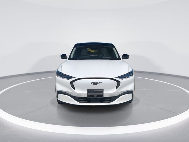 Used 2023 White Ford Premium image 3
