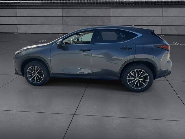 2024 Lexus NX - $40,588