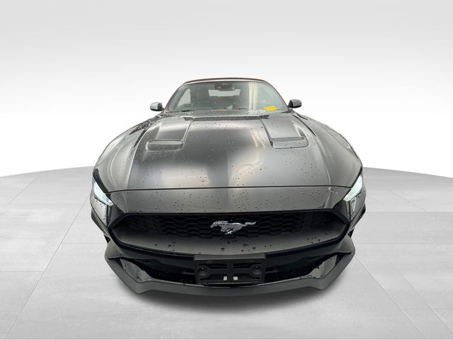 2022 Ford Mustang EcoBoost 4