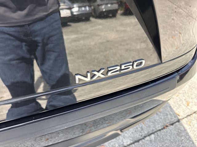 Used 2024 Lexus NX SUV