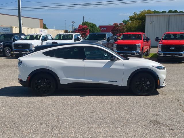 Used 2023 White Ford Premium image 14