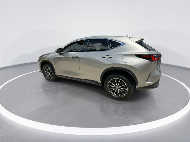 2025 Lexus NX - $45,998
