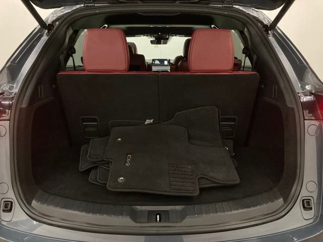 2021 Mazda CX-9 Carbon Edition