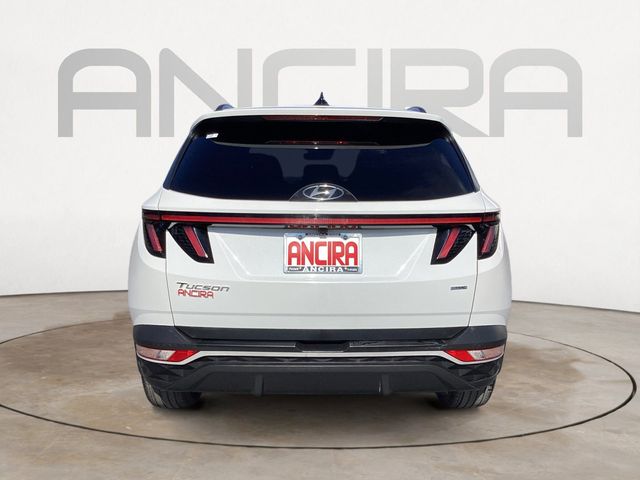 Used Car 2023 Hyundai Tucson  Sel For Sale Under $25,000 In San Antonio, Texas