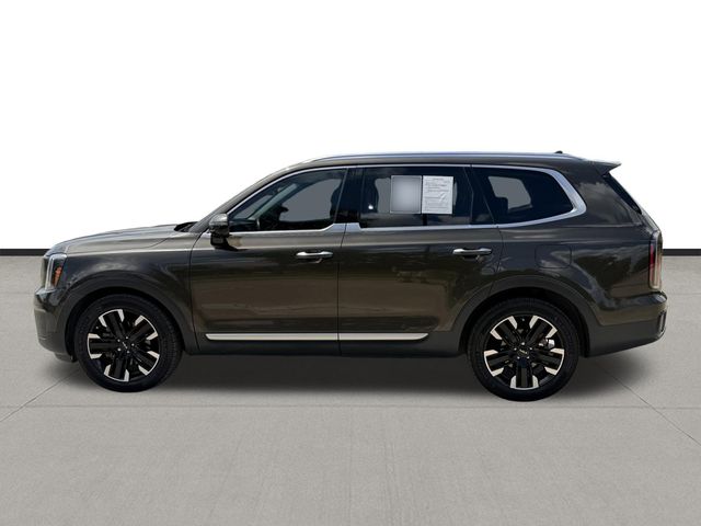 2023 Kia Telluride SX-Prestige - 7