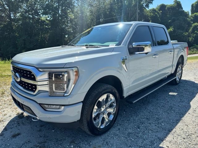 Used 2023 White Ford Platinum image 3