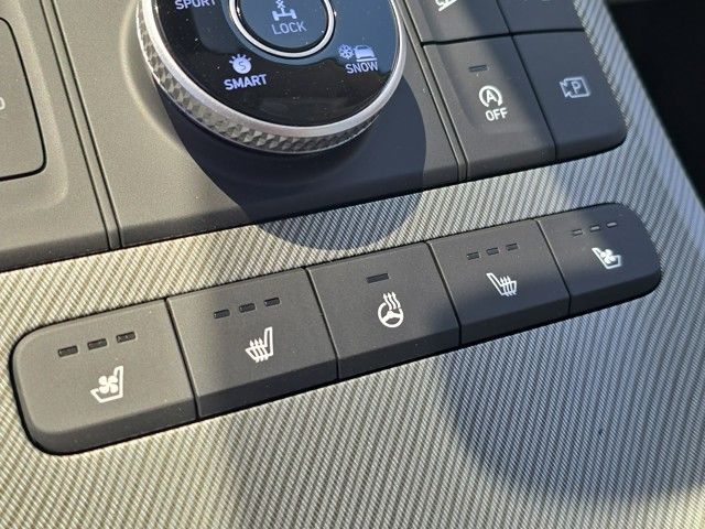Palisade SEL Premium
