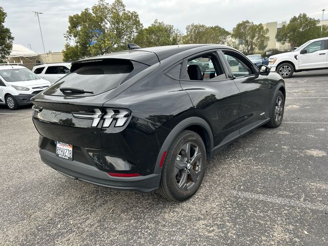 used 2021 Ford Mustang Mach-E car, priced at $20,455