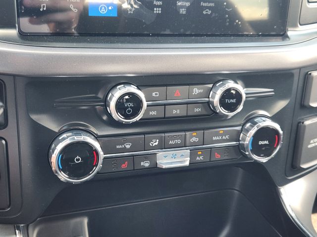2025 Carbonized Gray Metallic Ford F-150 XLT RWD Truck