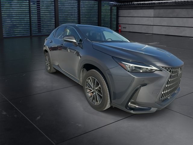 2024 Lexus NX - $40,588