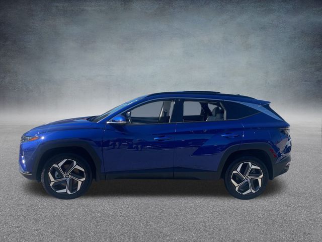 2023 Hyundai Tucson Limited 13