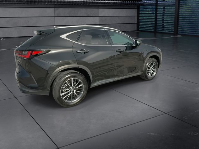 2025 Lexus NX - $47,998
