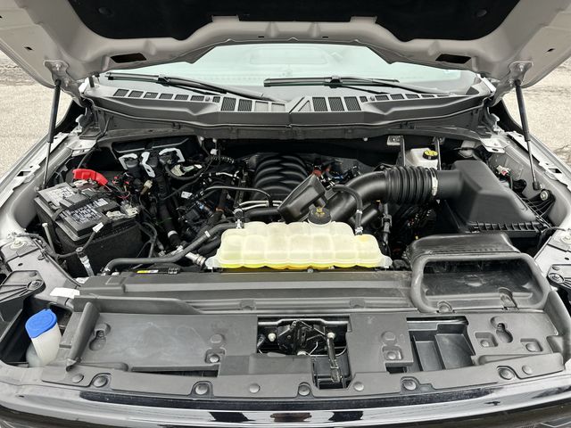 Certified Used 2025 Silver Ford XLT image 19