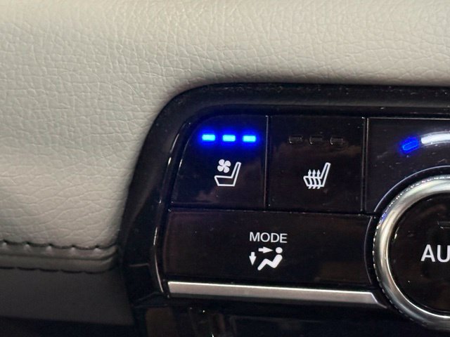Used 2024 Blue Honda Elite image 27