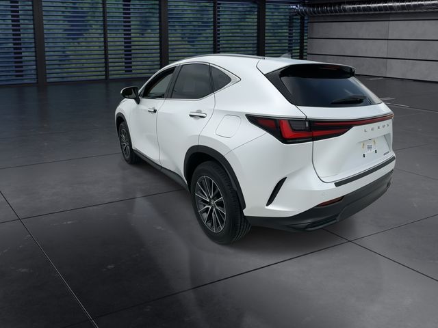 2025 Lexus NX - $39,988