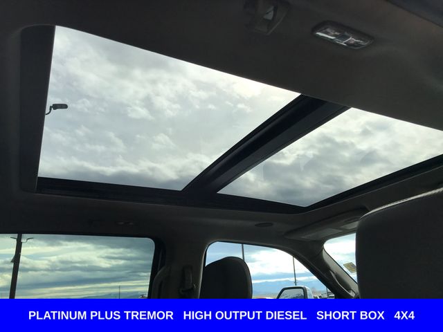 New 2026 Gray Ford Platinum image 24