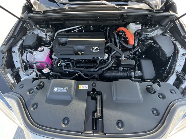Used 2024 Lexus NX SUV