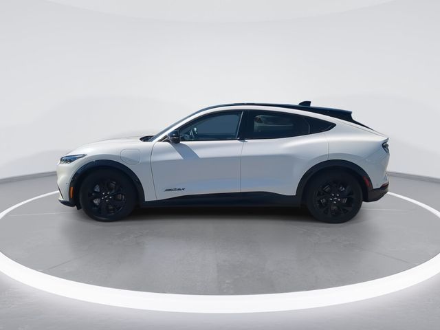 Used 2023 White Ford Premium image 5