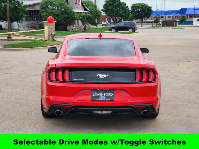 2023 Ford Mustang EcoBoost photo