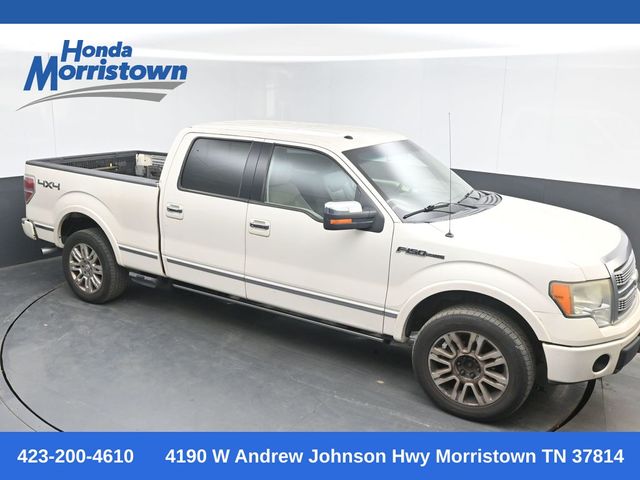 2009 Ford F-150 Platinum SuperCrew 4WD
