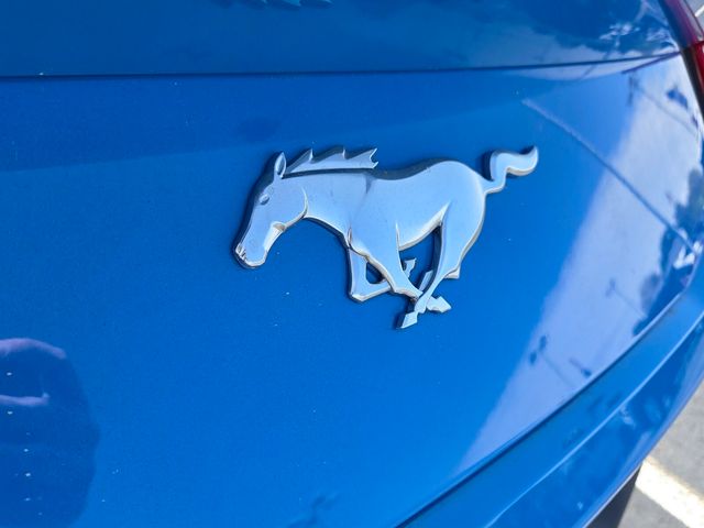 New 2026 Blue Ford EcoBoost image 12