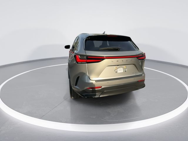 Used 2026 Lexus NX SUV