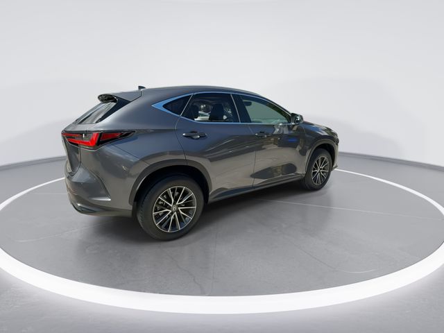 2024 Lexus NX - $38,898