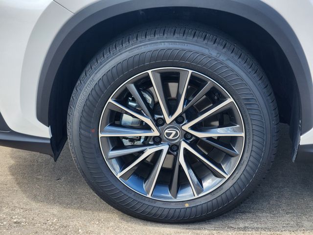 2025 Lexus NX 250 Premium White at Gullo Toyota