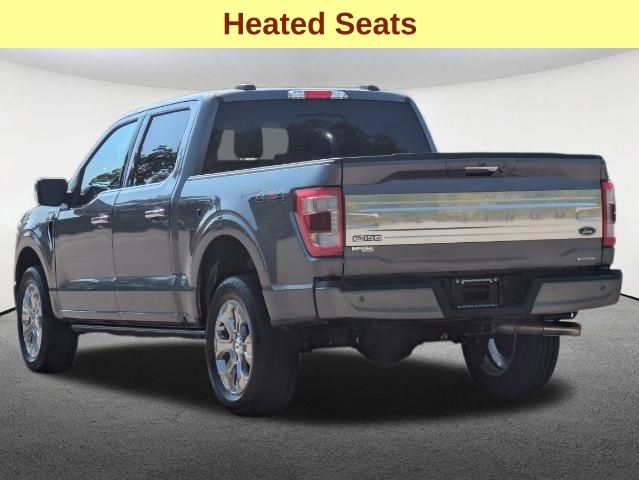 2023 Ford F-150 Platinum 7